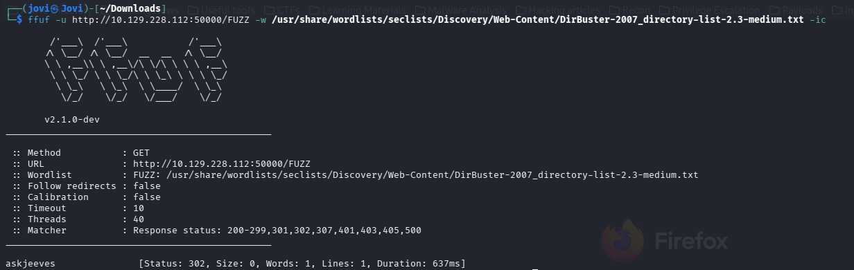 ffuf output